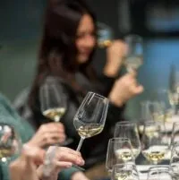I vigneti bordolesi da Bordeaux